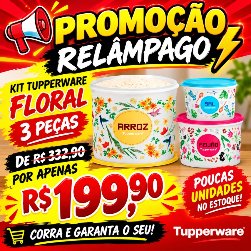 Caixas de armazenamento 200,00